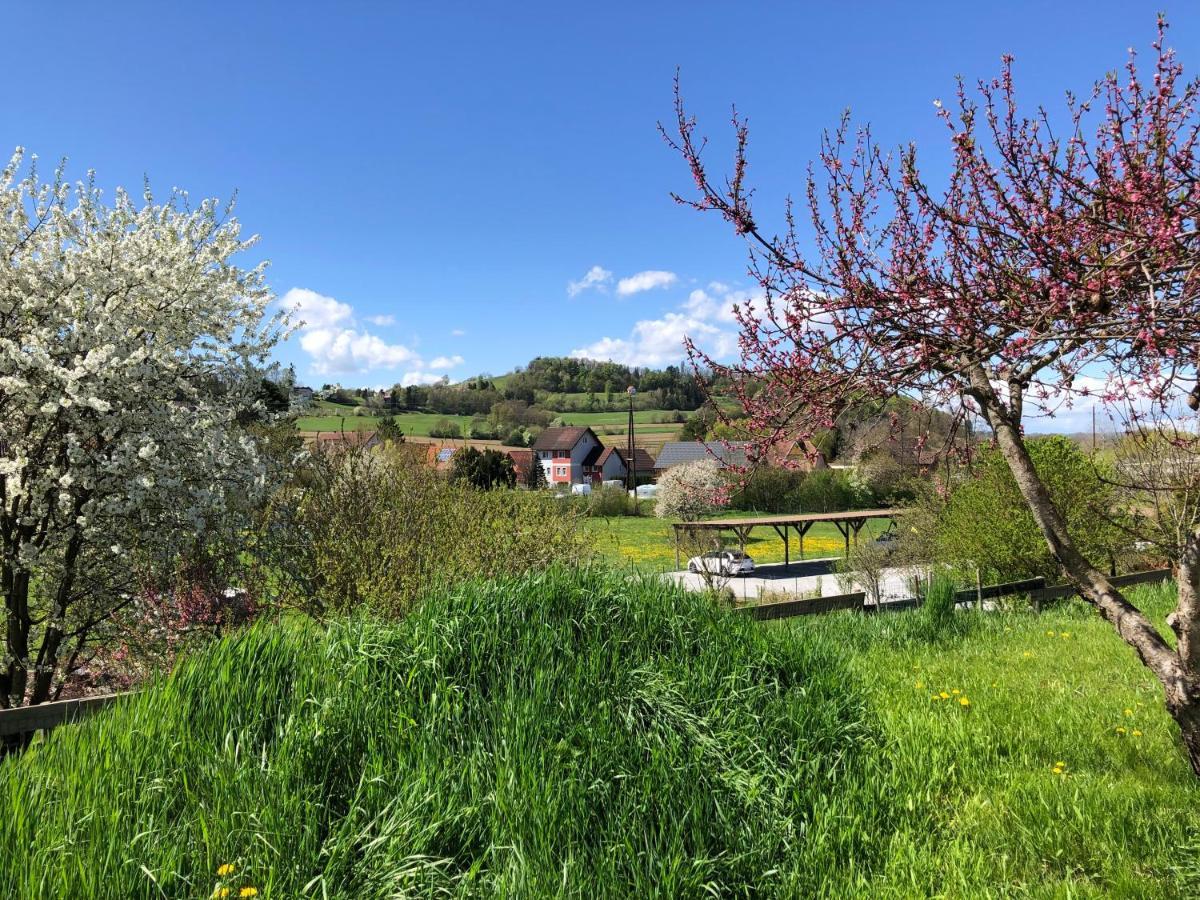 Ferienwohnungen Und Appartements Im Idyllischen Vierkanthof, Gruppenurlaube Fürstenfeld Esterno foto